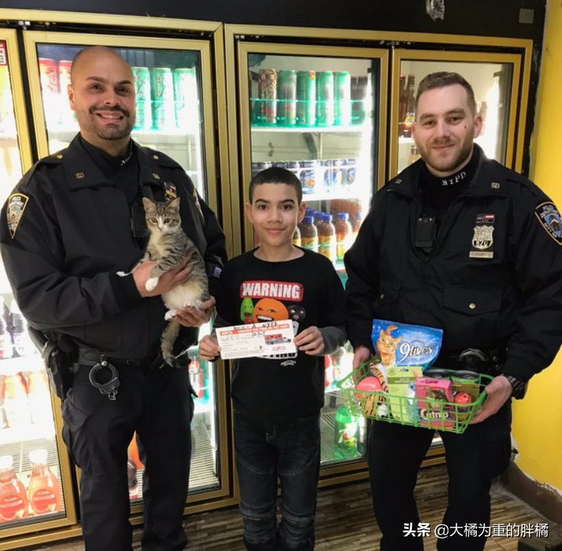 小伙将超市小猫偷偷抱走，却让自闭男孩失去唯一朋友，他也很爱猫