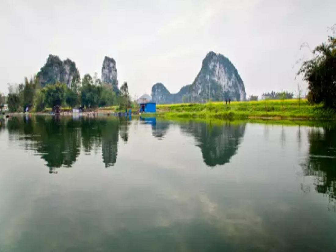 广西上林景区三里洋渡门票票价,上林三里洋渡稻田何时最好看