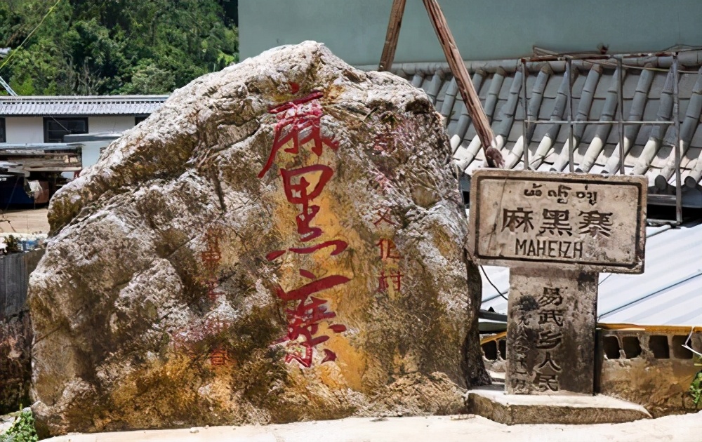 生茶张古树普洱,易武麻黑和落水洞哪个好