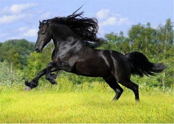 为什么中原王朝军队战斗力下降,中原王朝为何不占领草原