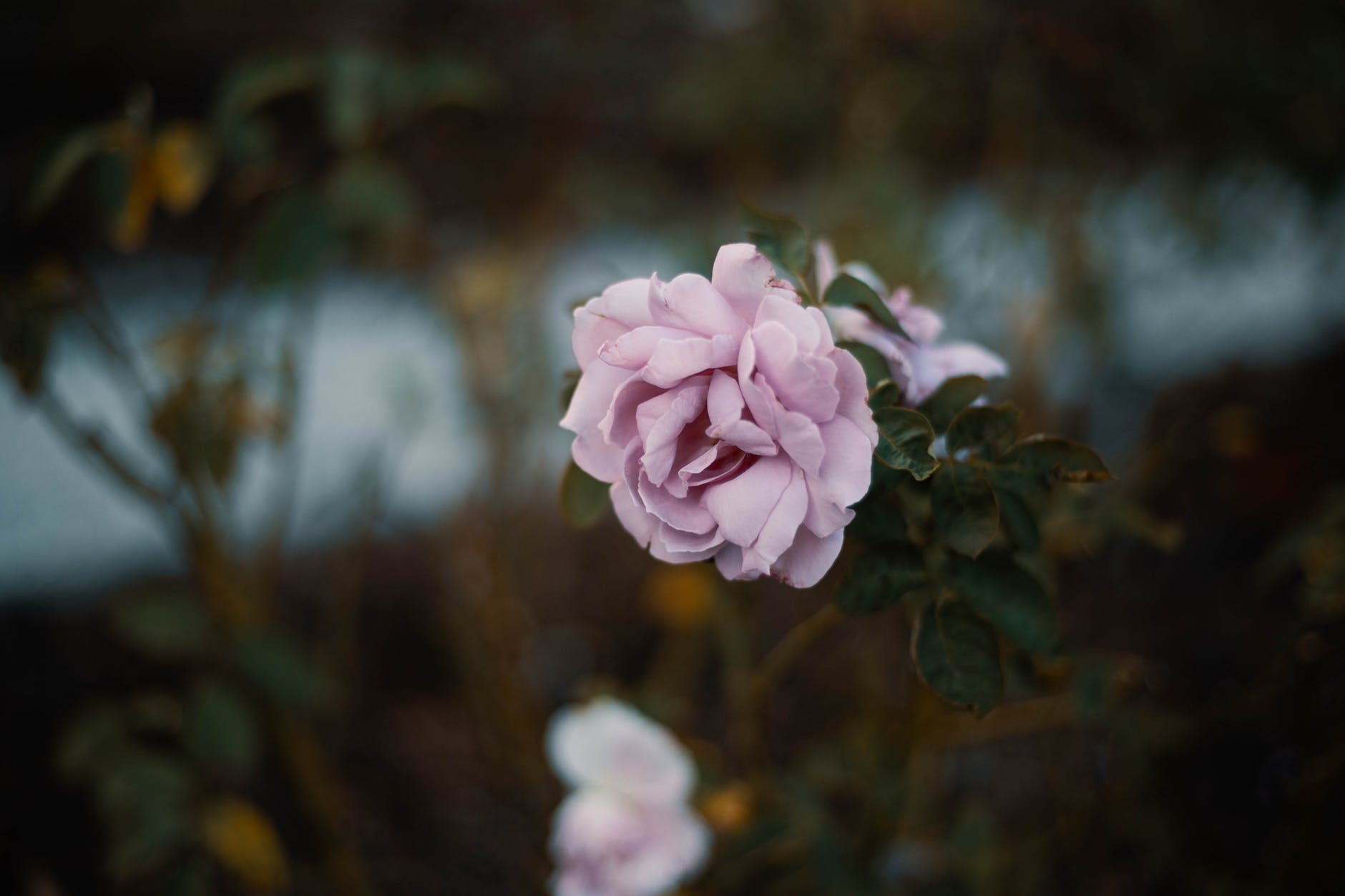 做妻子一定要容忍丈夫的这些想法,老婆恨自己的丈夫怎么办