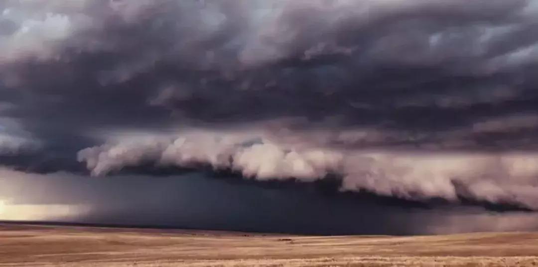 张悬为什么退出歌坛,张悬对20岁的自己说