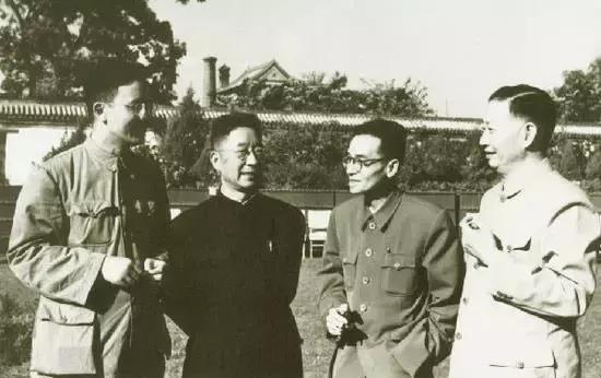 霍金站起来的照片,霍金站着