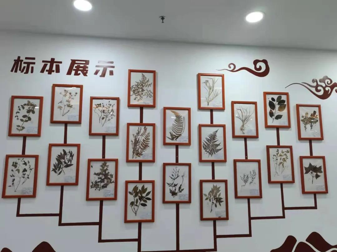 行走｜物华天宝宝华山