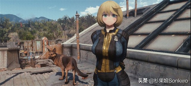 辐射4季票值得入手吗,辐射4年度版杉果