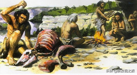 生物进化史最具代表的事件,生物进化史的意义