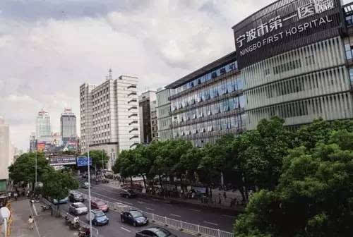 中国乌克兰混血双胞胎最新视频,6年前广东小伙娶乌克兰美女