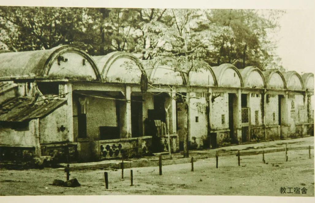 漫游东游西荡,漫游深圳城市