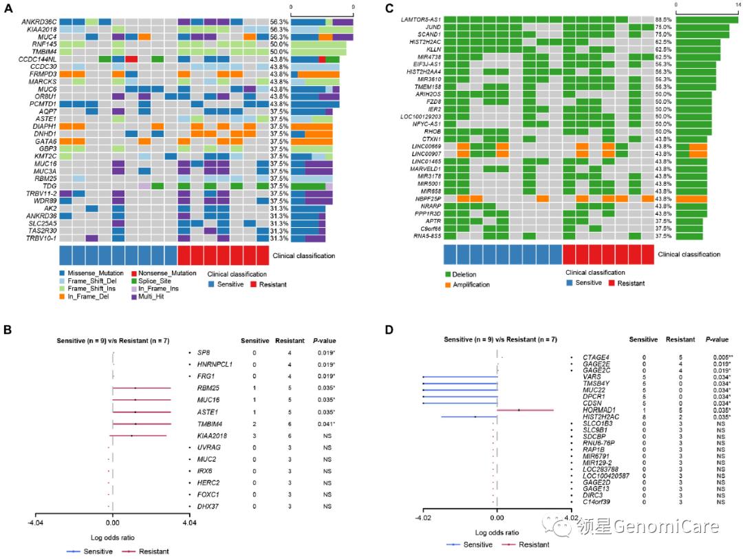 领星携手焦顺昌教授团队探究前列腺癌双环铂耐药标记物