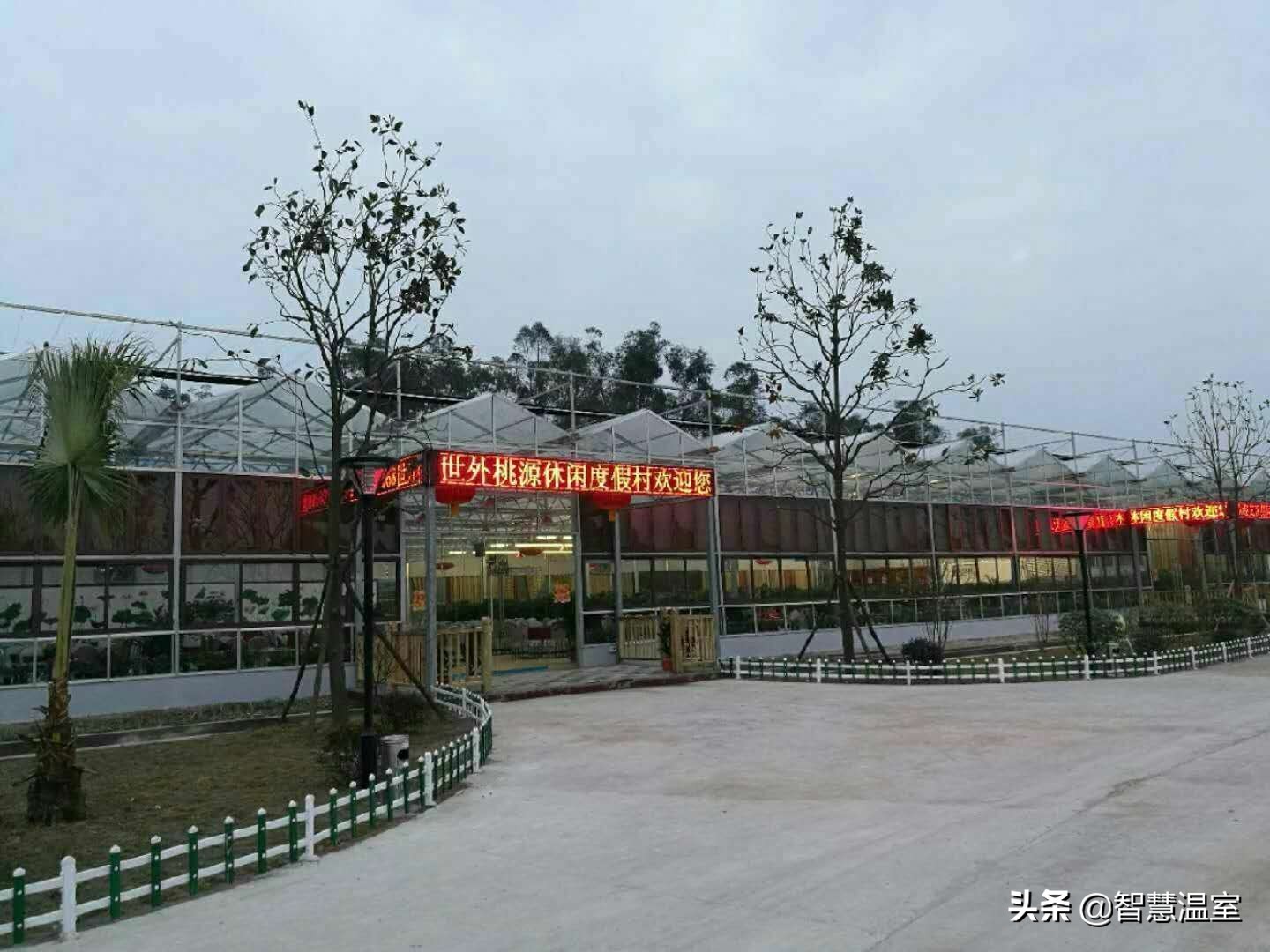 温室大棚生态餐厅合法吗,大棚绿色生态餐厅设计