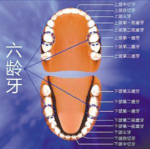 儿童牙齿口腔保健常识,家长们看过来儿童牙齿如何保护