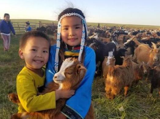 治沙对策和措施,治沙的最好办法