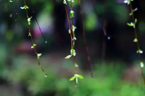 散文篇目推荐,散文题材推荐