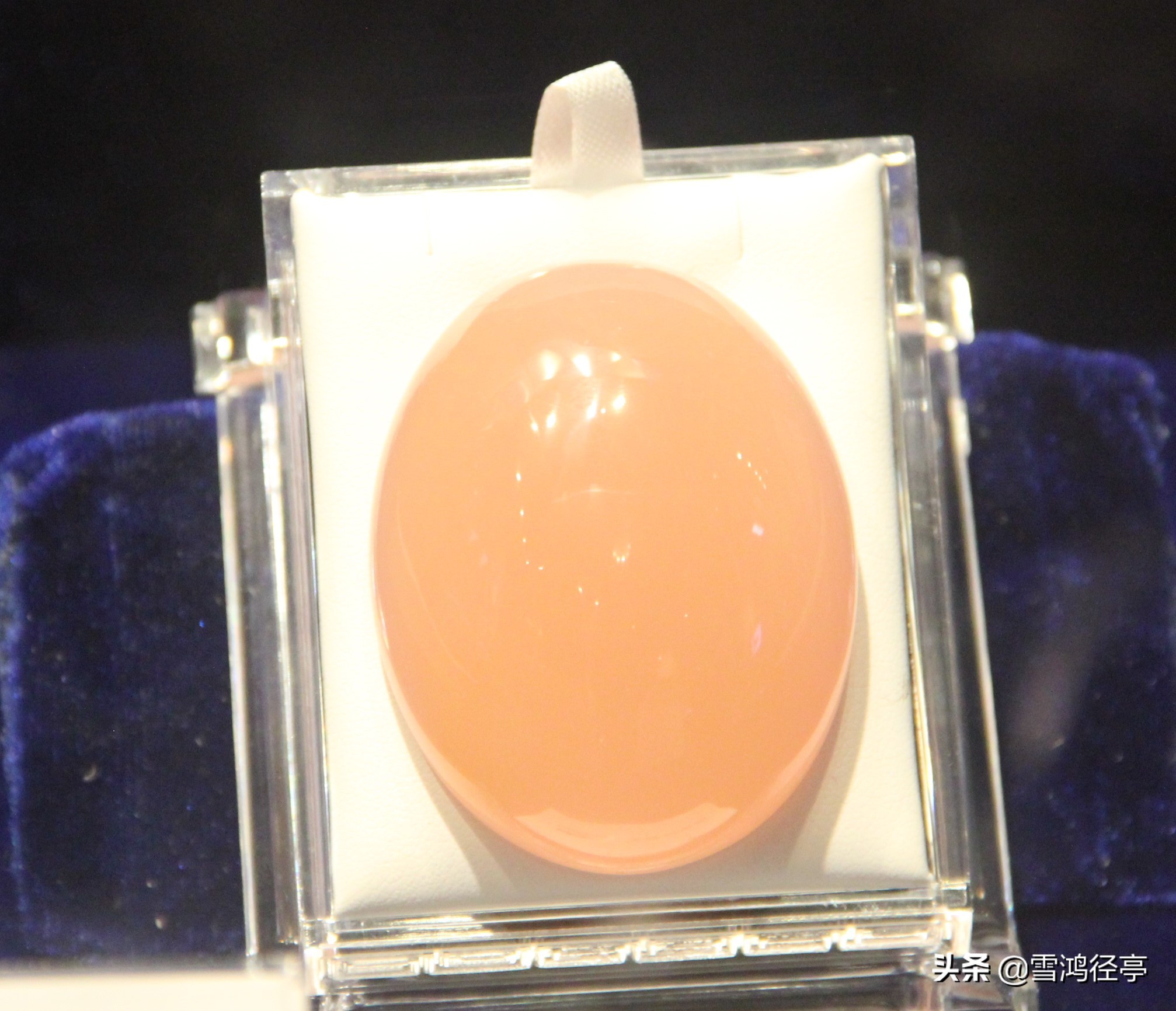 112首诗词中，这些词语您家孩子理解对了吗？（三）