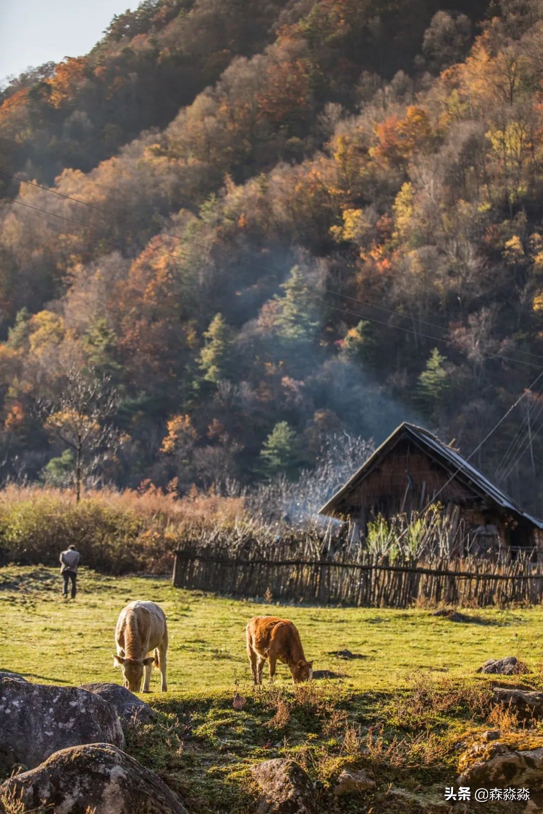 秦岭赏秋怎么玩才好玩呢,大秦岭山旅游攻略