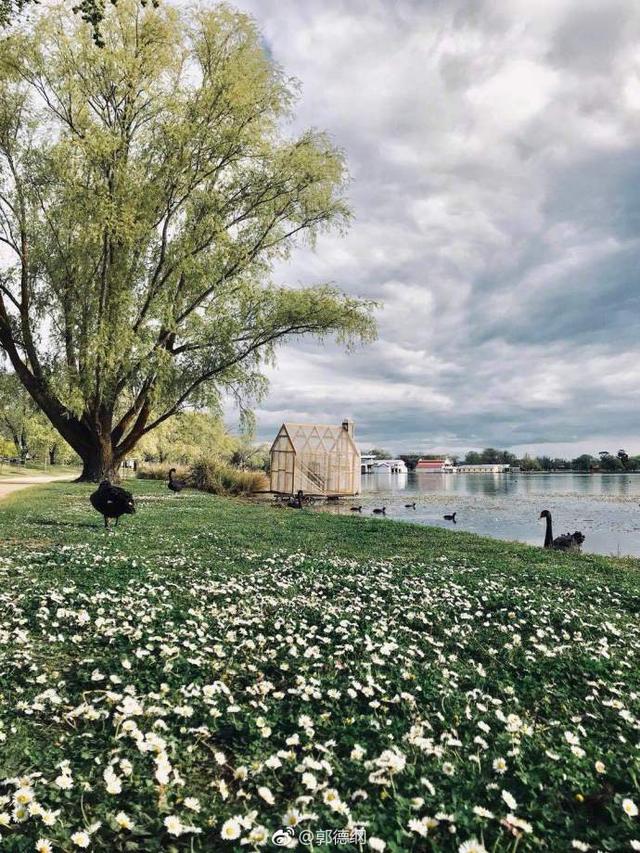 郭德纲的语录人为财死鸟为食亡,郭德纲经典语录劝人要大度全文