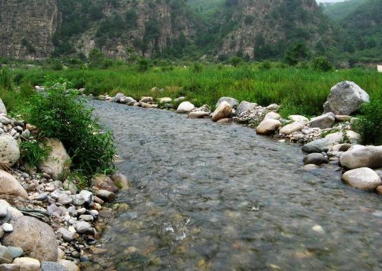 乡情散文乡村烟火味,乡情散文乡恋朗诵