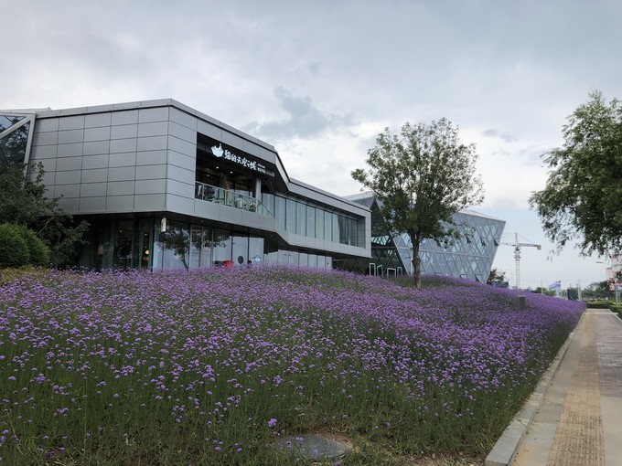 南戴河蔚蓝海岸亲子乐园,南戴河远洋蔚蓝海岸攻略