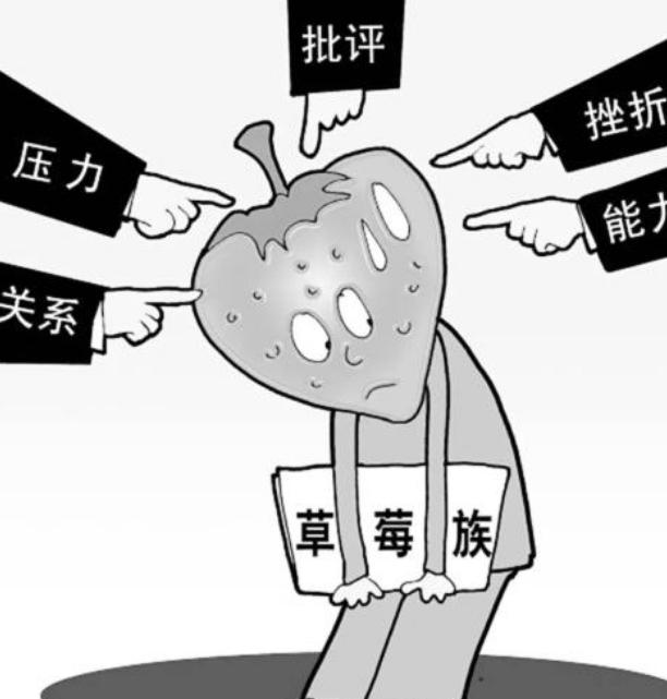 为什么普通律师收入并不高,律师真实收入