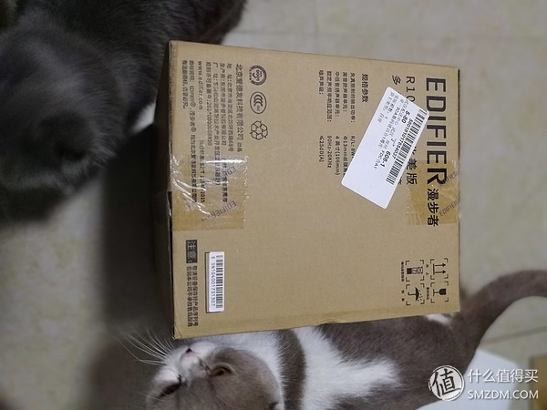 漫步者r1000tc北美版音频线,漫步者R1000TC北美版音箱