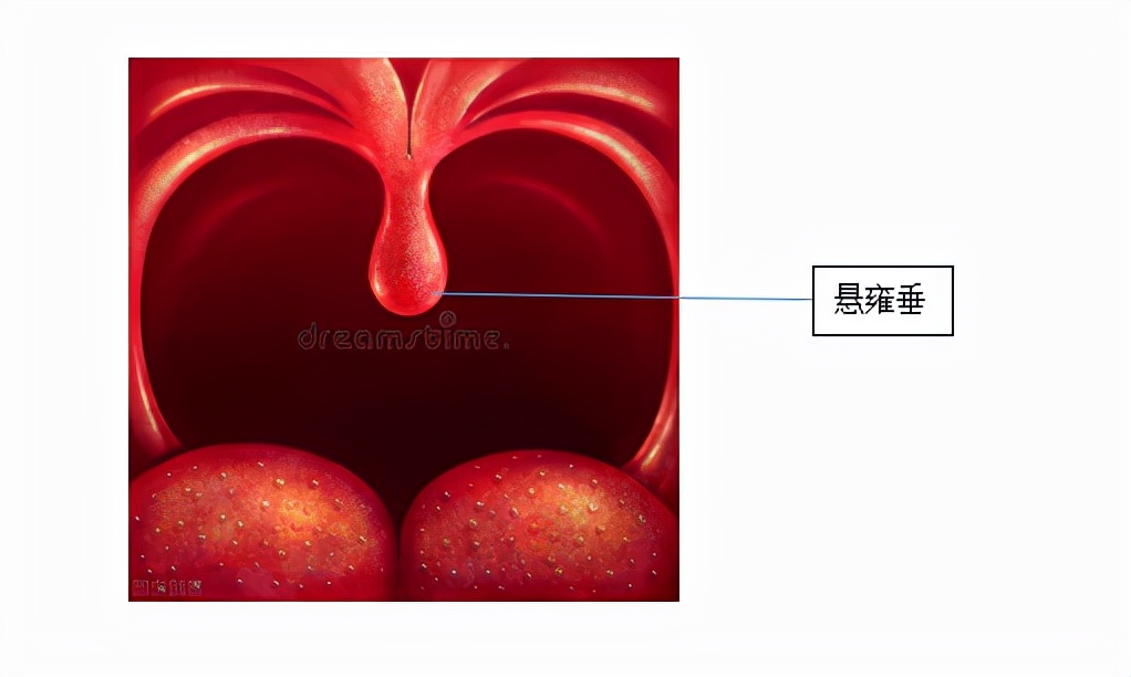 你身体的秘密,你身体不知道的秘密