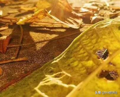 在千钧一发之际，突然间就有大神出手相助