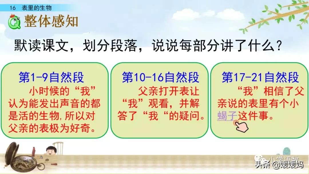 六年级下册语文表里的生物朗诵,六年级下册表里的生物小练笔400字