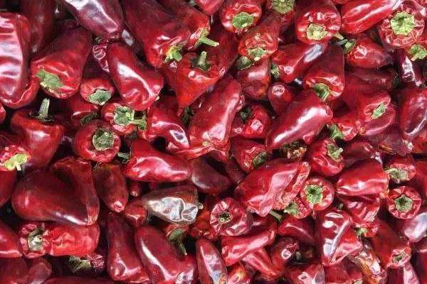 各种干辣椒品种哪种香,各种干辣椒品种和特点