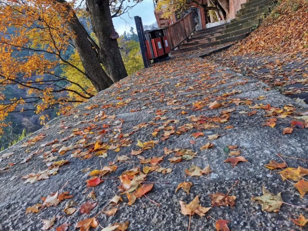 华山景区开园公告一般几点发,华山景区开放时间最新消息