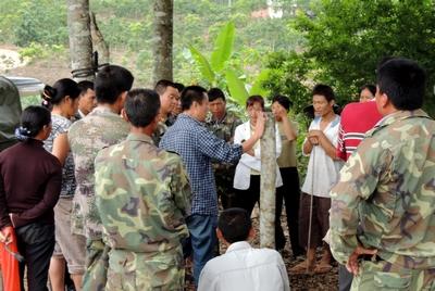 专访：亚洲象北上是整体趋势，长期投喂香蕉、菠萝、玉米等高糖、高热量食物，可能导致野象得高血压、糖尿病