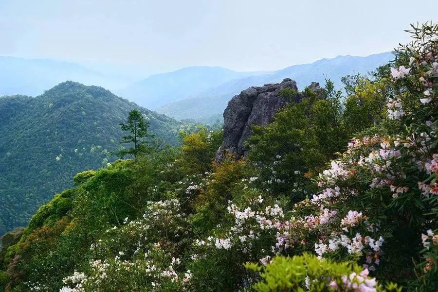 西安旅游全攻略现在的西安人多不,西安人的西安旅游攻略图片