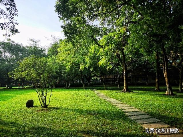 中国最美丽的校园照片,中国最美丽的校园中山大学南校区