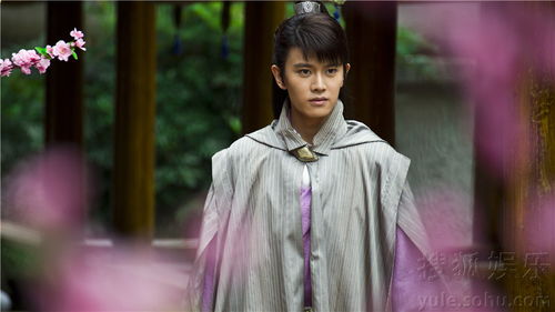 任嘉伦哪年进娱乐圈,英年早婚的男星任嘉伦28岁喜当爹