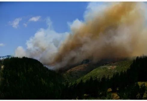 国外疫情为什么抢购卫生纸,为什么疫情下国外人抢购卫生纸