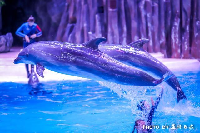 来珠海旅游必打卡的景点,春节珠海亲子游玩地方推荐