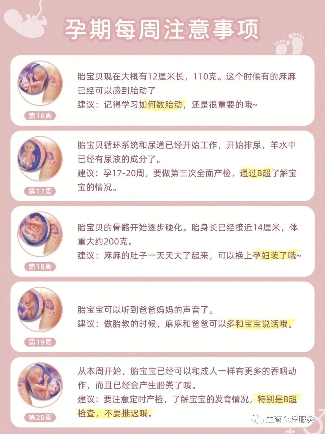 每一位准妈妈最可信赖的孕期指南,孕期1-40周应注意事项
