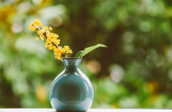 健康咒语每天三遍身体越来越好,疗愈身体的神奇音乐完整版