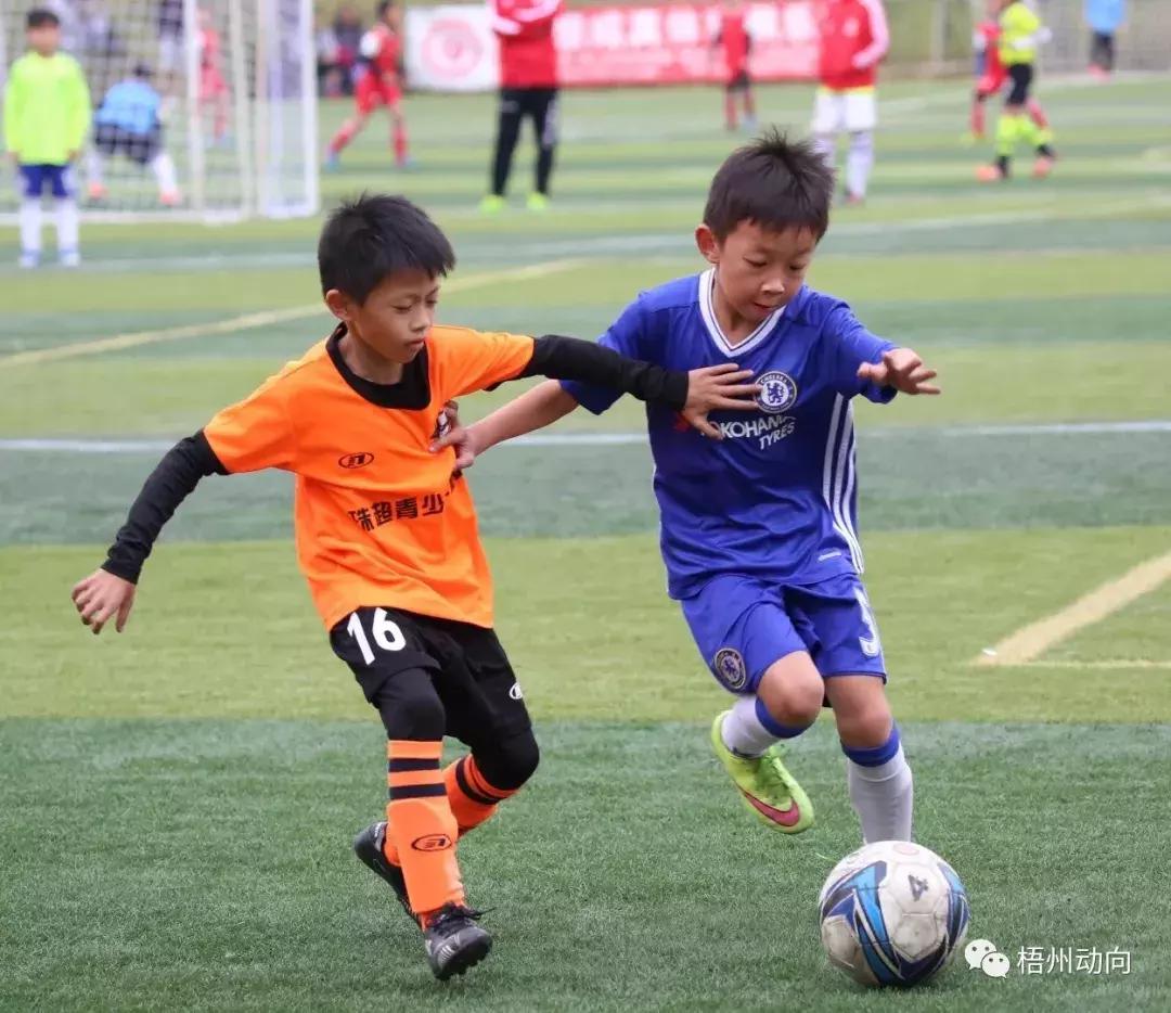 足球训练营公益,足球训练公益项目