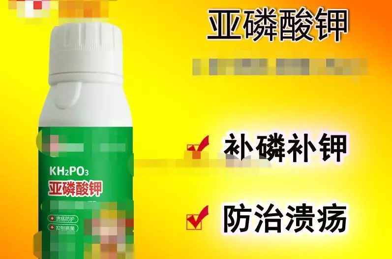 亚磷酸钾预防病害多久用一次,亚磷酸钾控旺药害表现