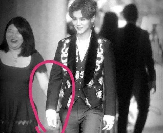 杨天真签约张艺兴后续,杨天真旗下艺人张艺兴