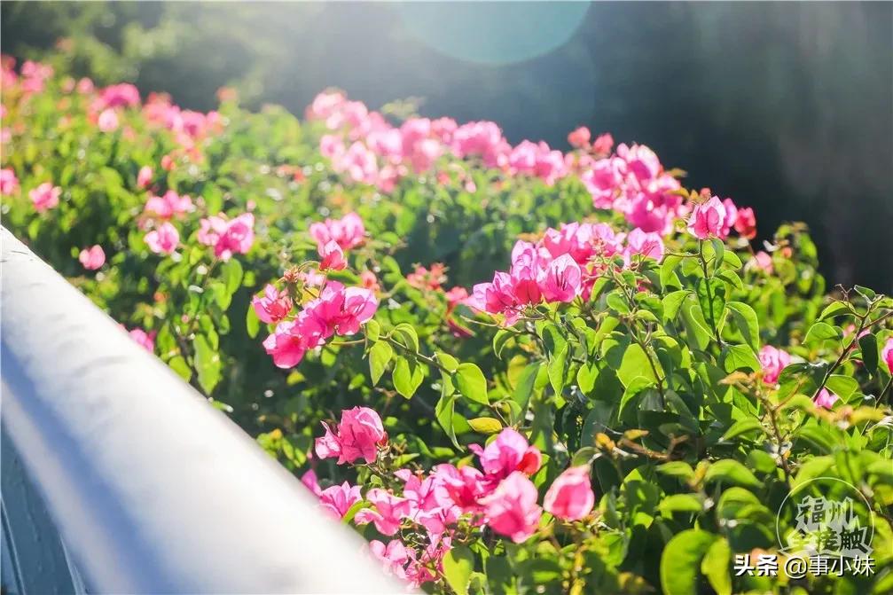 福州中亭街服装批发市场整体现状,福州农贸市场搬迁规划