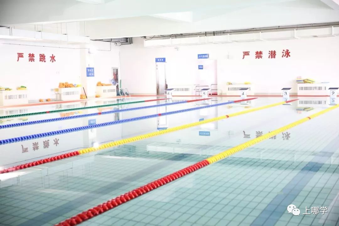 上海最好的十大民办初中,上海各区的顶级初中和一流初中