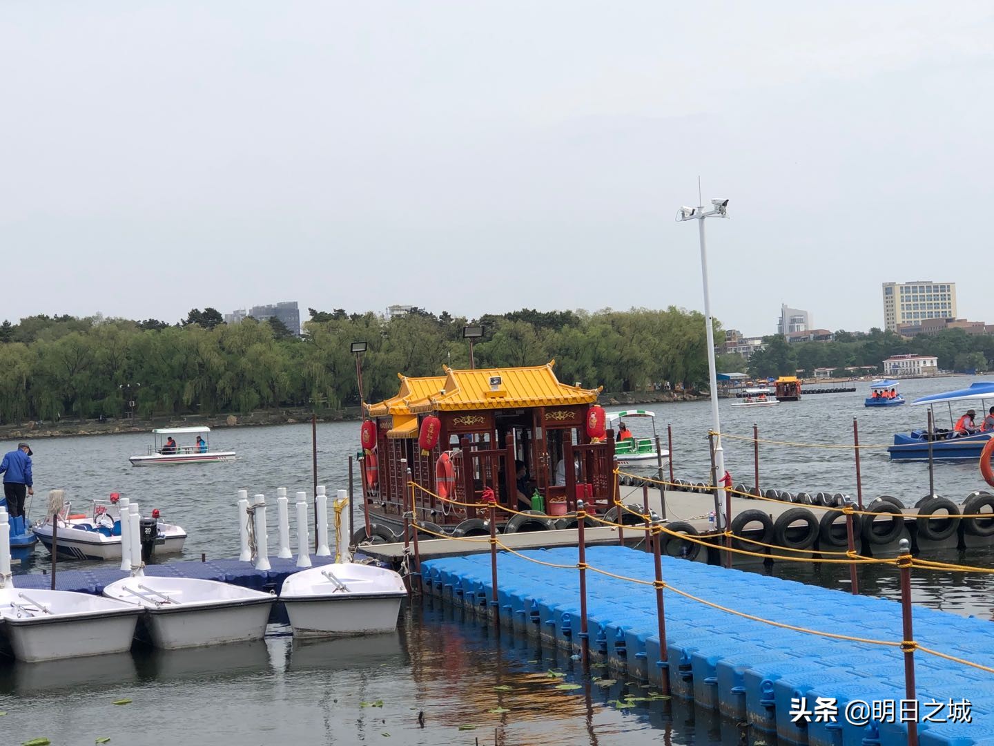 南湖游船游玩,南湖公园素颜图片