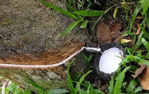 乳胶床品,买过的乳胶床品