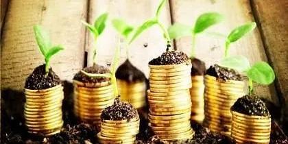 钁涘簵鎴夸骇鎶垫娂璐锋,钁涘簡