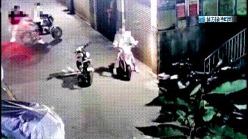 这伙小蟊贼，专偷“小猴子”