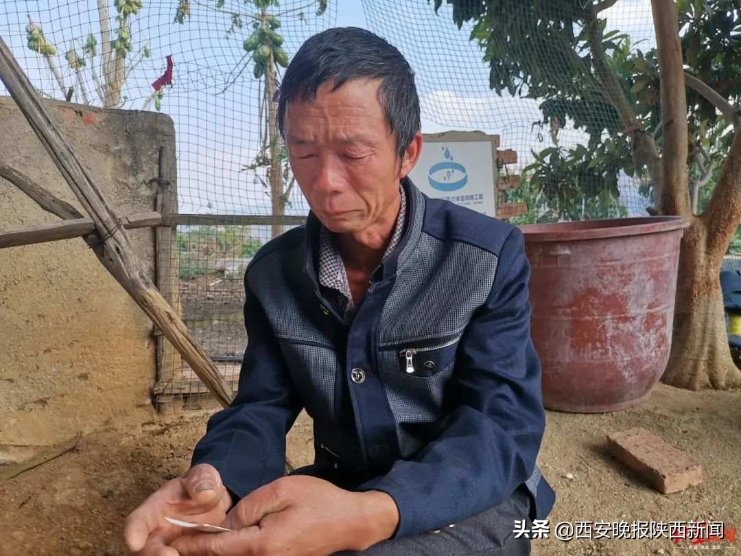 村民自费修山路被罚四万元,村民自费修山路被罚4万后续结果