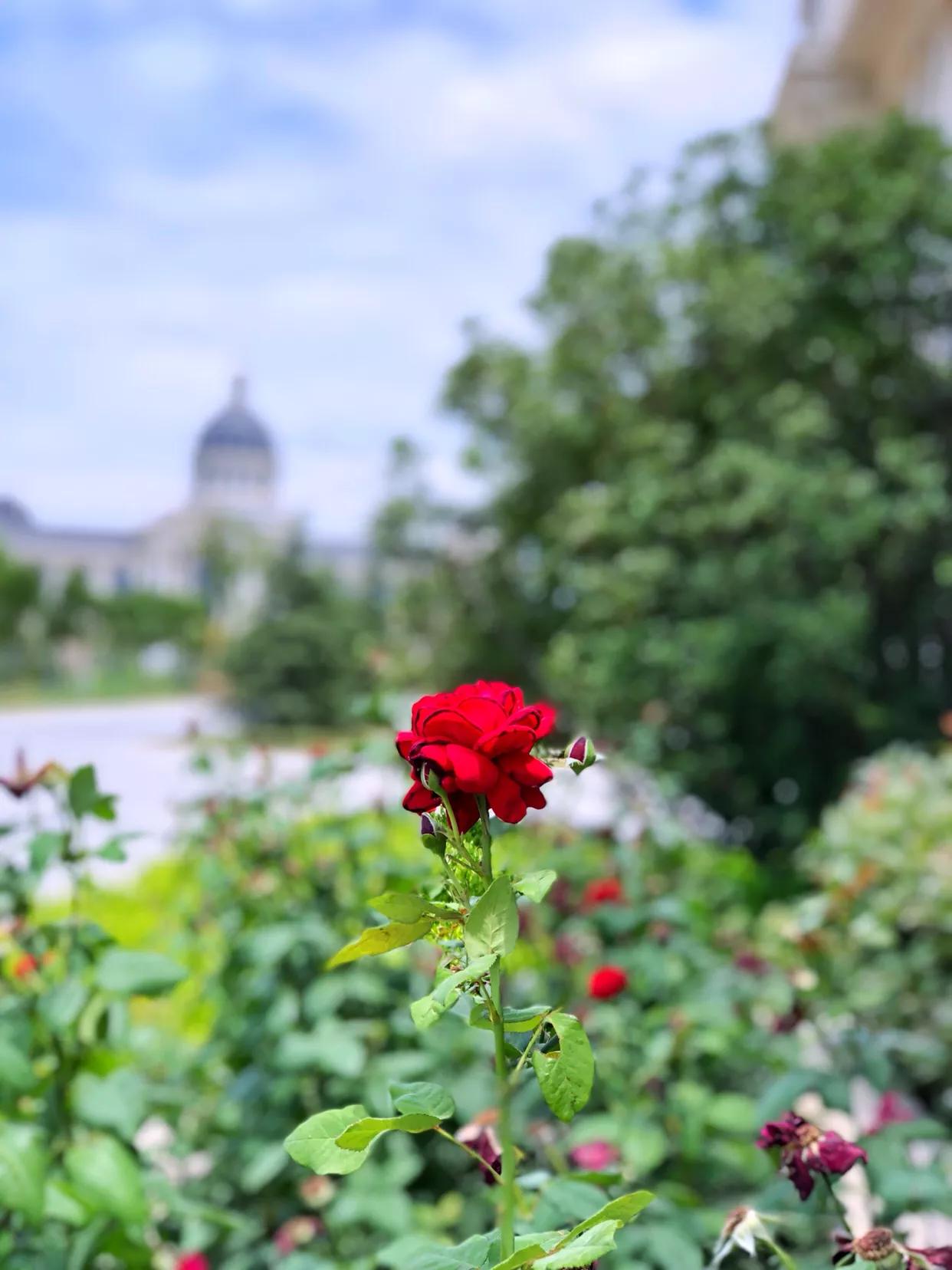 语法书推荐英语,英语双语读物初中
