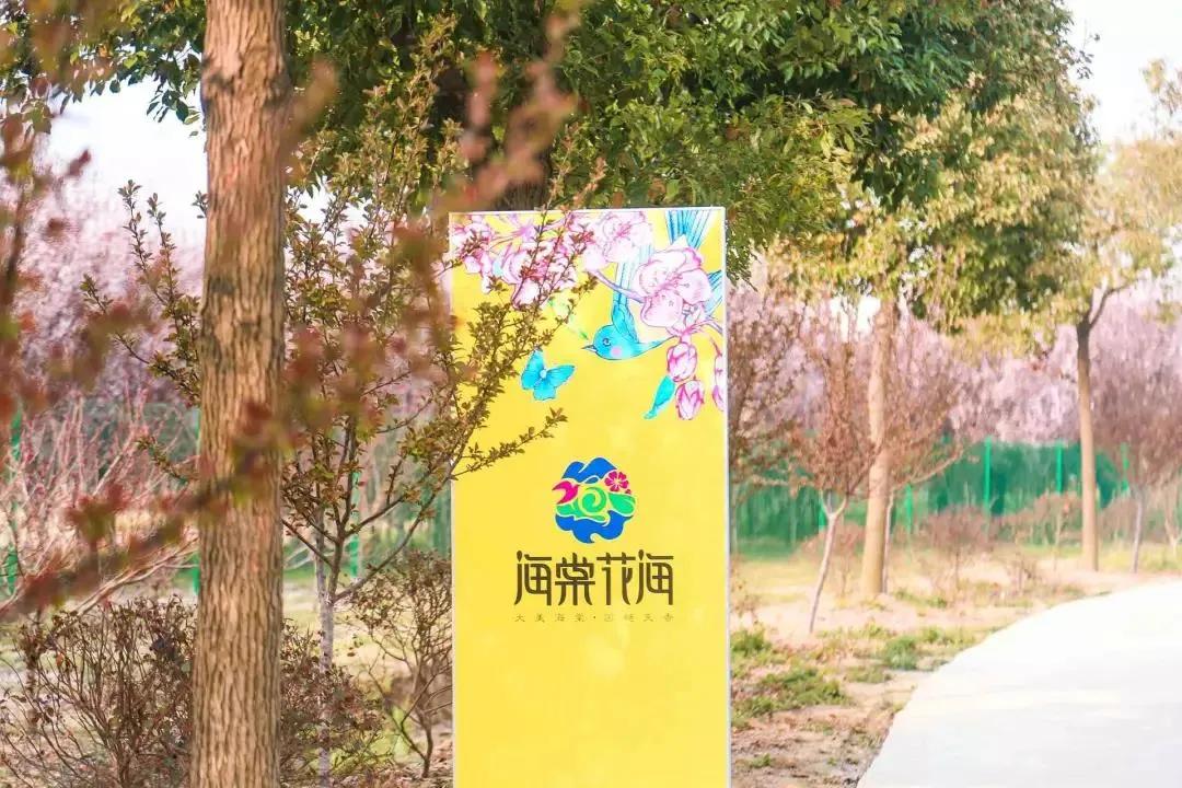 国庆遛娃指南,国庆遛娃游玩攻略