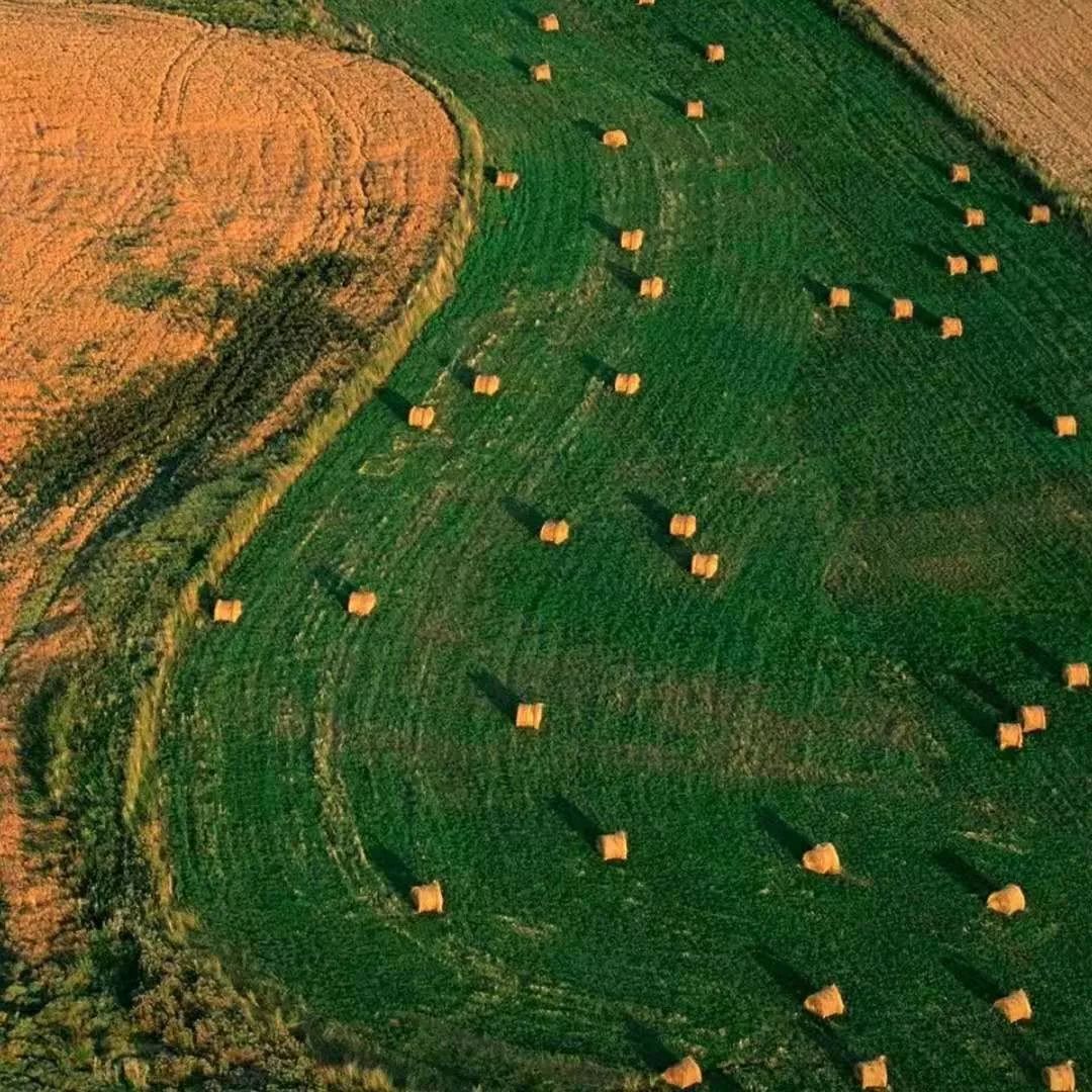 众安保险乐享e生无免赔版,众安尊享e生2023百万医疗险价格表